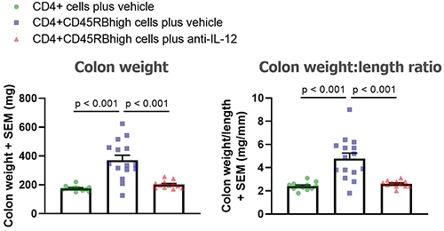 Colon weight, Colon weight:length ratio