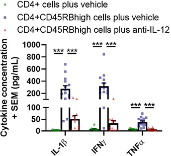 Cytokine concentrations in colon culture supernatant