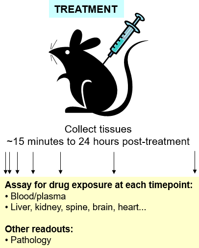 Pharmacokinetics (PK)